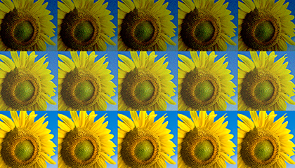 An image undergoing basic processing steps; exposure adjustments, then noise reduction, to arrive at the final image (bottom). Graphic: Christine Daniloff/MIT News Office