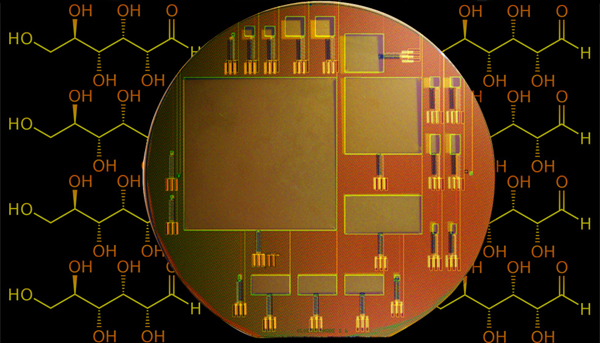 Sarpheshkar teams to develop implantable power source fueled by glucose