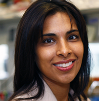 Professor Sangeeta Bhatia