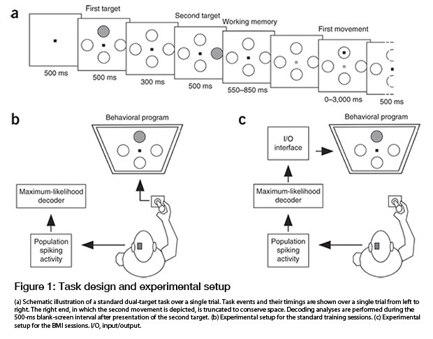 ds an intelligent Brain-Machine Interface | MIT EECS