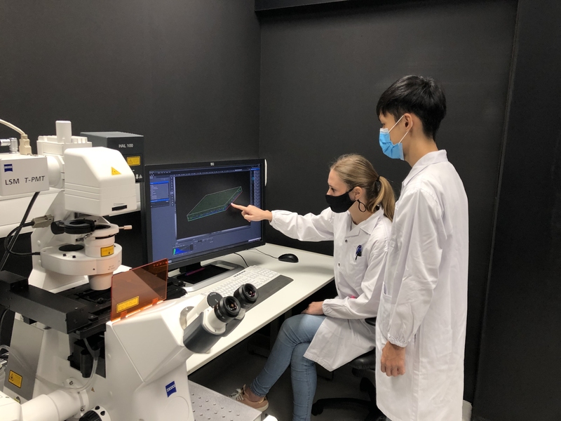 SMART Postdoc Dr Irina Afonina and NTU PhD Student Jerome Chua use CRISPRi technology to understand biofilm formation in Enterococcus faecalis..jpg